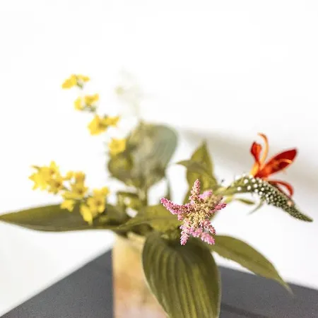 Nocleg ze śniadaniem Avellano *