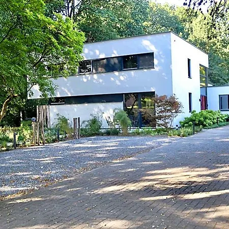 Avellano