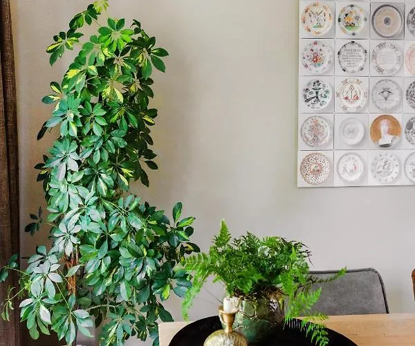 Avellano Bed & Breakfast Helmond