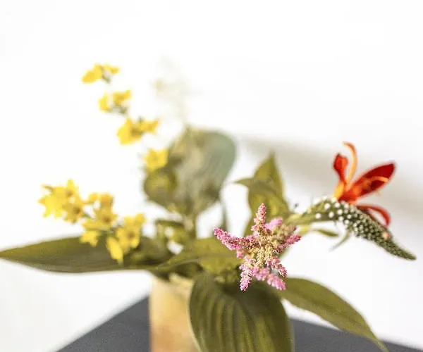 Bed & Breakfast Avellano *